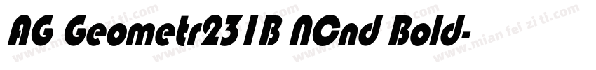 AG Geometr231B NCnd Bold字体转换